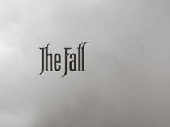 The Fall (2006) 분석 부연: