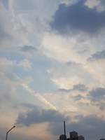 언니가 돌아왔다.