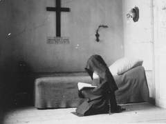 버키스텔라/짧은 우울