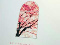 6/26 종세온 후기