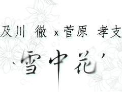 [오이스가] 설중화(雪中花)