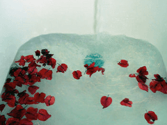 안혜진이 죽었다