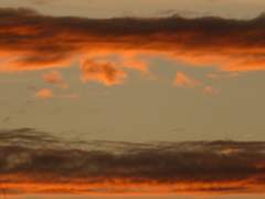 맥솔져 calls me home