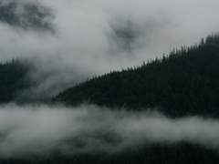 맥솔져 절망에게