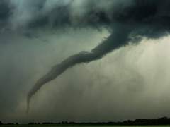 리퍼솔져 불화하는 말들