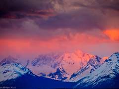 리퍼솔져 / 맥솔져