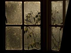 창이 더러운 집