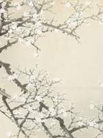 [정왕종주/아성명대] Etiam in morte superset amor