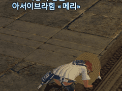FF14 희망의 등불 이후 NPC 대사변화