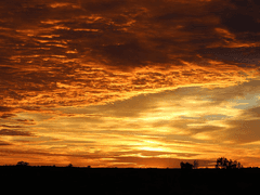 아르주나 이름 13제/ 10.파란타파