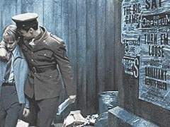 [스팁버키] 긴 잠을 자는 나의 버키에게.