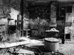 스팁버키) Captain's order