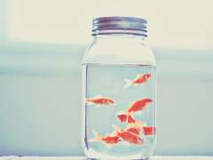 [맥한조] 유리병 안의 세계 1