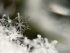 스팁버키) 그리고 다시 봄春.