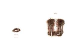 [찰스에릭] 전나무숲 The Fir Forest