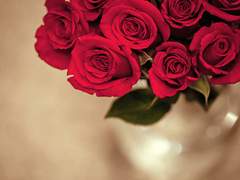 [맥레예/맥리퍼] Last Birthday 中