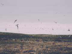 [맥한조] 천 번의 보름 1