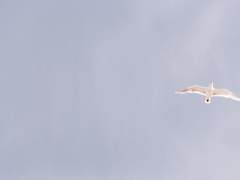 [맥한조] 천 번의 보름 2