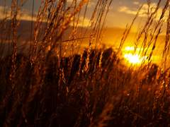 [맥레예/맥리퍼] Last Birthday 下