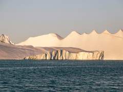 디바솔져 내 늙은 개와 어린 주인