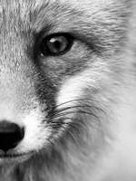 덕질글(드라마/영화 쩜오)