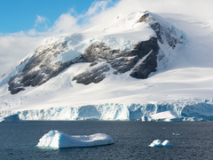 디바솔져 내 늙은 개와 어린 주인