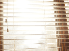 [DnA]해양생물도감