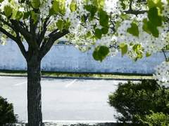 BL-[브금/움짤有] 아직도 나는 너라는 젖은 이름표를 말리는 중이야 下 [완결]