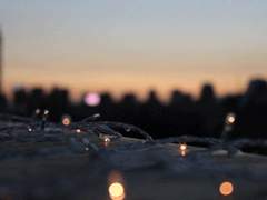 [에릭찰스] Apple Tree - 01 -