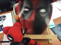 거미른 후기 만화