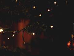 [에릭찰스] Apple Tree - 02 -