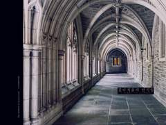 김나지움의 안식일