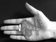 꽃의 축배(For. 연필)