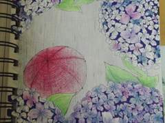 비오는 날의 수국