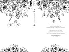 'Destiny' 포스타입 이용 안내글 입니다.
