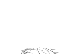 安芦/芦イツ 꽃구경