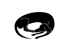 [워대디바이블] 개