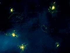 [에릭찰스] Apple Tree - 03 -