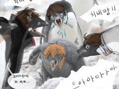 오이히나 낙서 백업 2