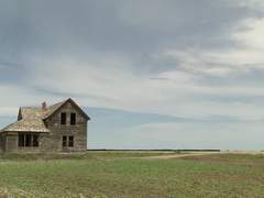 [스팁버키] Put a Bullet in My Head