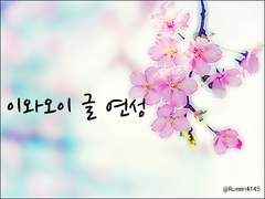 (이와오이)하나나미병