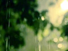 [에릭찰스] Apple Tree - 04 -