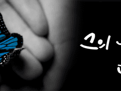 그의 나비는 다시 돌아온다.