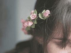 もりはし さよこ 모리하시 사요코