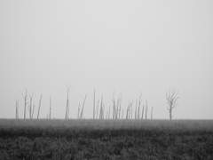 [우카타케] 바람 부는 날