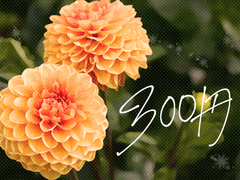 [모브레이] 300엔