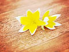 [아카스즈] 사소한 한 가지