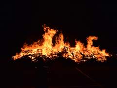 리퍼솔져 born to be blue