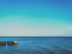 [다이스가] 푸르던,