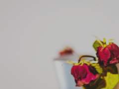 [쿠로츠키] 졸업